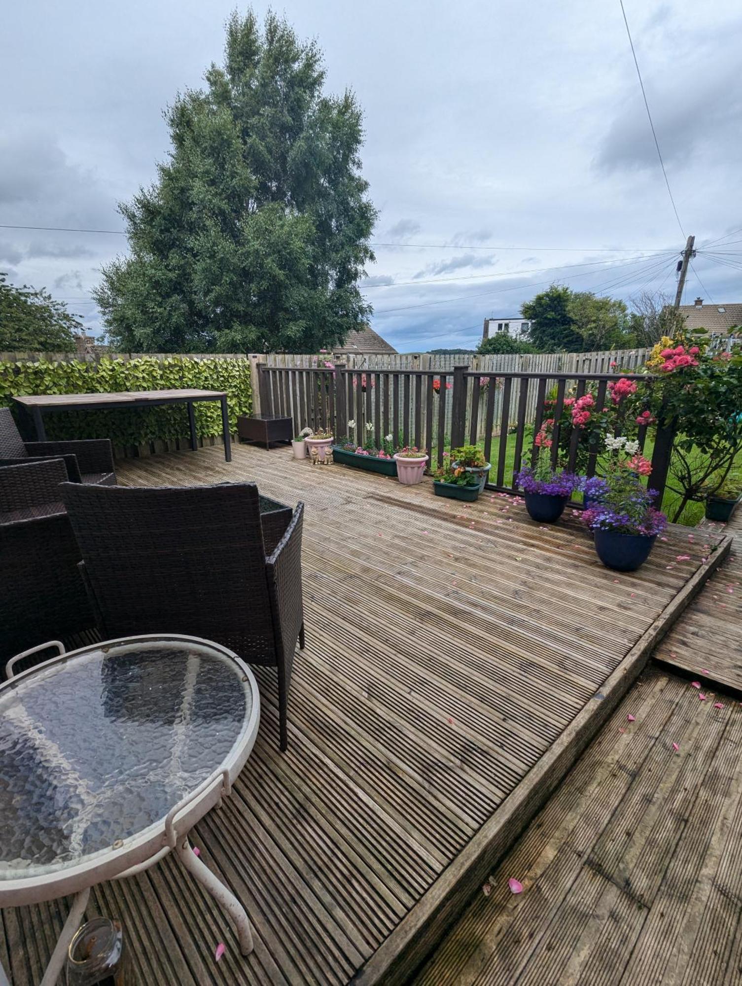 Single Room With Beautiful Garden Edinburgh Exterior photo